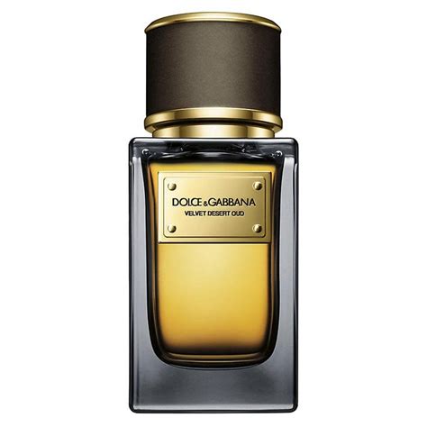 dolce gabbana unisex perfume|dolce gabbana parfum neu.